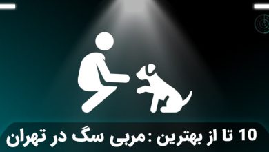 بهترین مربی سگ در تهران