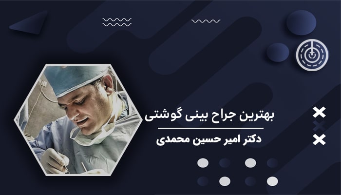 دکتر امیر حسین محمدی مفرد
